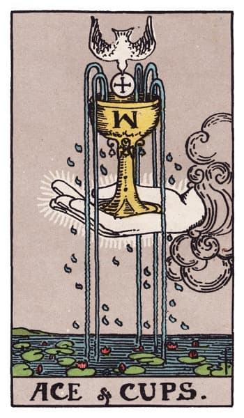 Ace of Cups tarot card