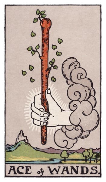 Ace of Wands tarot card from the public TaroMind card library